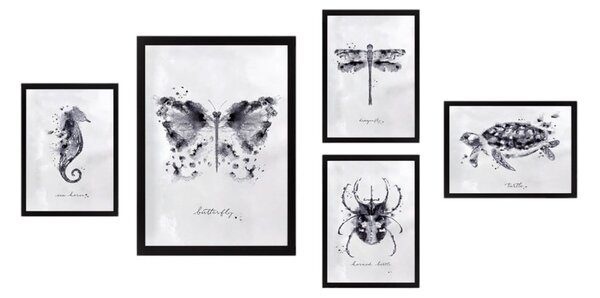 Slike u setu od 5 komada Butterfly - Wallity
