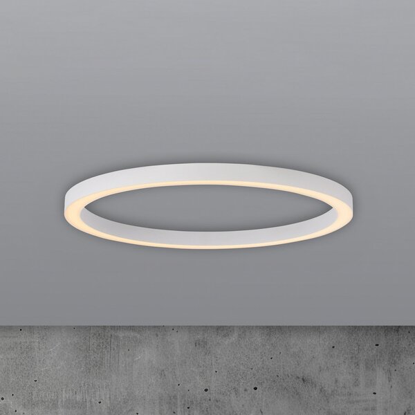 PURE LED stropna svjetiljka Lines, Ø 70 cm, bijela, CCT daljinski upravljač, prigušiva, Bijela, Dnevni boravak/blagovaonica, Metal