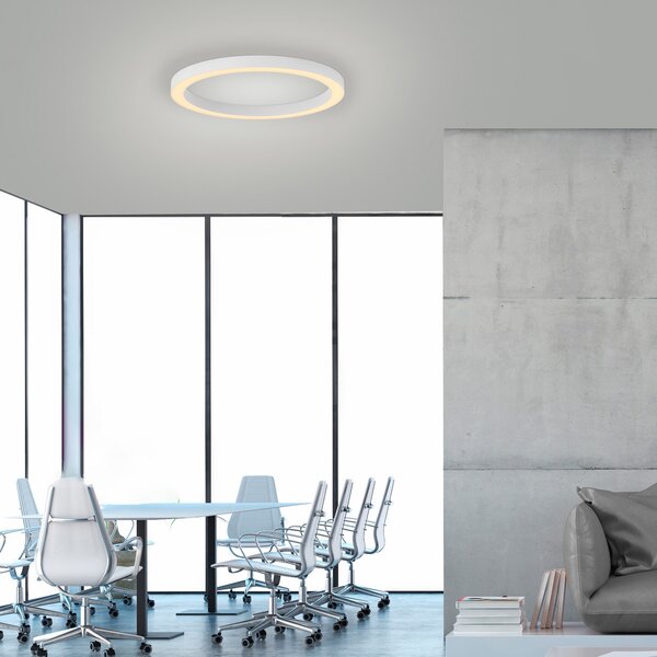 PURE LED stropna svjetiljka Lines, Ø 50 cm, bijeli CCT, daljinski upravljač, prigušiva, Bijela, Dnevni boravak/blagovaonica, Metal