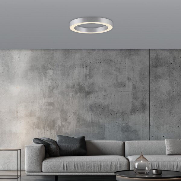 PURE LED stropna svjetiljka Lines, Ø 35 cm, srebrna, CCT, prigušiva, Metalik, Dnevni boravak/blagovaonica, Metal