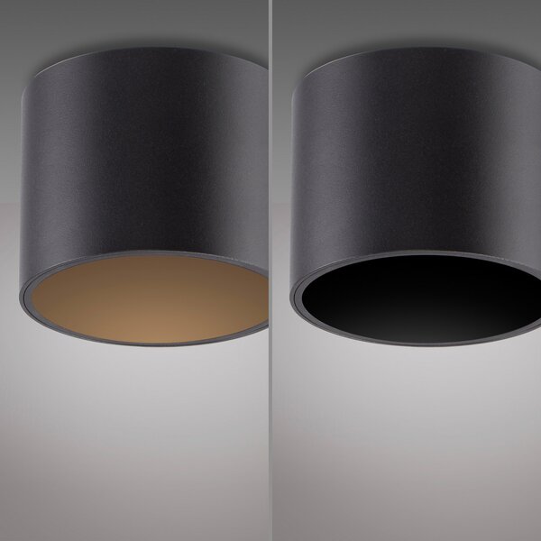PURE Point LED stropna svjetiljka za kupaonicu, crna, Ø 18 cm, IP44, prigušiva, Crno, kupaonica, Metal