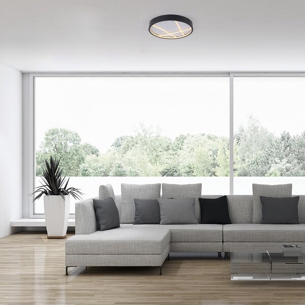 JUST LIGHT. GmbH Mikado LED stropna svjetiljka, Ø 40 cm, crna, prigušiva, Crno, Dnevni boravak/blagovaonica, Metal