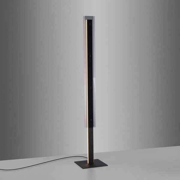 Schöner Wohnen SCHÖNER WOHNEN LED podna lampa Lena, željezo, crna, dimer, prigušiva, Crno, Dnevni boravak/blagovaonica, Metal