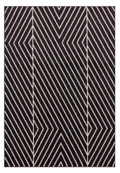 Crno-bijeli tepih 80x150 cm Muse – Asiatic Carpets