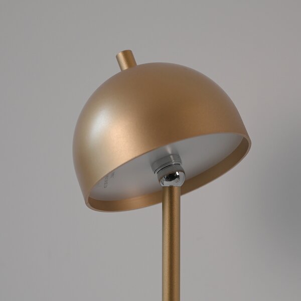 Schöner Wohnen SCHÖNER WOHNEN Bellis LED punjiva podna lampa, zlatna, IP54, prigušiva, Zlato / mjed, Dnevni boravak/blagovaonica, Metal