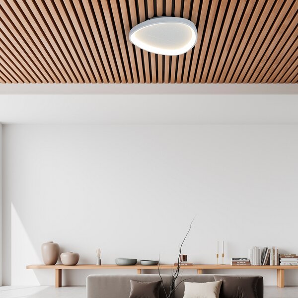 Näve LED stropna svjetiljka Argesa, Ø 42 cm, bijela, CCT, daljinski upravljač, prigušiva, Bijela, Dnevni boravak/blagovaonica, Metal