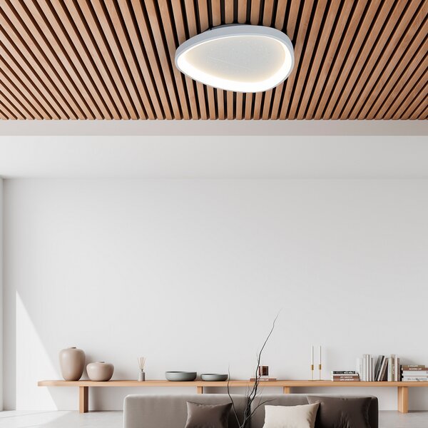 Näve LED stropna svjetiljka Argesa Ø 60,5 cm, bijela, CCT, daljinski upravljač, prigušiva, Bijela, Dnevni boravak/blagovaonica, Metal