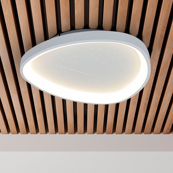 Näve LED stropna svjetiljka Argesa Ø 60,5 cm, bijela, CCT, daljinski upravljač, prigušiva, Bijela, Dnevni boravak/blagovaonica, Metal