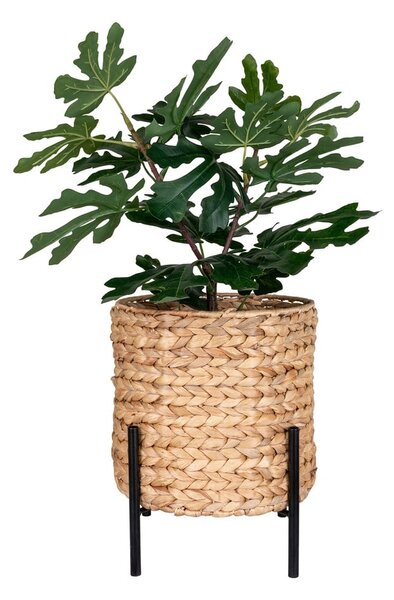 Posuda za cvijeće od vodenog zumbula ø 24 cm Antas – House Nordic