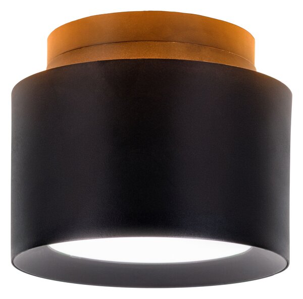 Näve LED stropna svjetiljka Trimes, Ø 11,5 cm, crna, CCT, postupno prigušivanje, prigušiva, Crno, Dnevni boravak/blagovaonica, Plastika