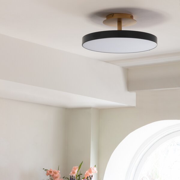 UMAGE LED stropna svjetiljka Asteria UP PLUS, antracit Ø 60 cm CCT, prigušiva, Crno, Dnevni boravak/blagovaonica, Metal