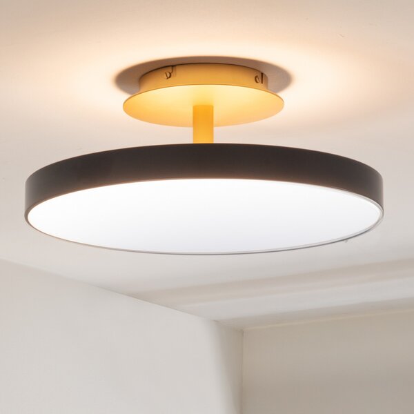 UMAGE LED stropna svjetiljka Asteria UP PLUS, antracit Ø 43 cm CCT, prigušiva, Crno, Dnevni boravak/blagovaonica, Metal