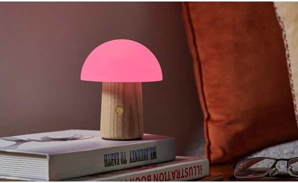 Prigušiva stolna lampa u prirodnoj boji sa staklenim sjenilom (visina 13 cm) Alice - Gingko