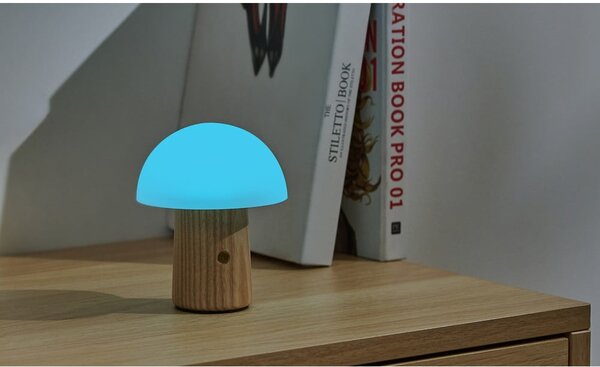 Prigušiva stolna lampa u prirodnoj boji sa staklenim sjenilom (visina 13 cm) Alice - Gingko