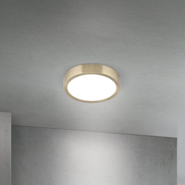 ORION LED stropna svjetiljka Disc, antikni mesingani finiš, Ø 14 cm, CCT, prigušiva, Bronca / stari mesing, Dnevni boravak/blagovaonica, Aluminij