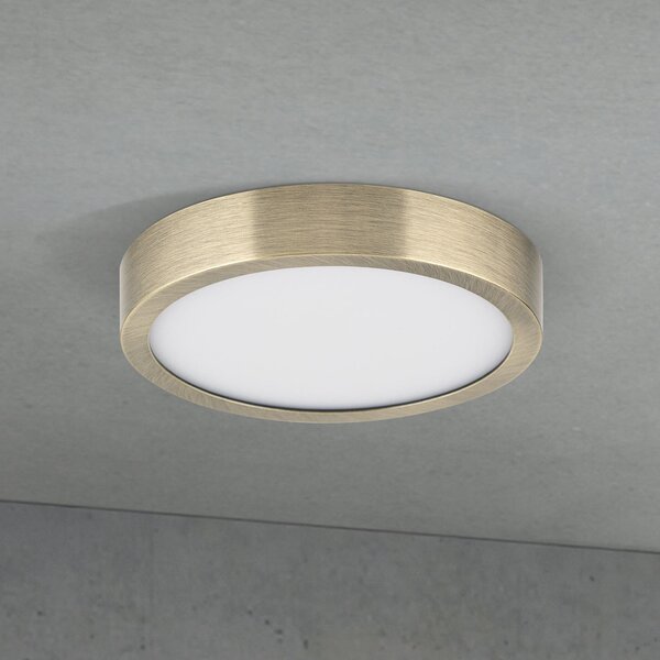 ORION LED stropna svjetiljka Disc, antikni mesingani finiš, Ø 14 cm, CCT, prigušiva, Bronca / stari mesing, Dnevni boravak/blagovaonica, Aluminij