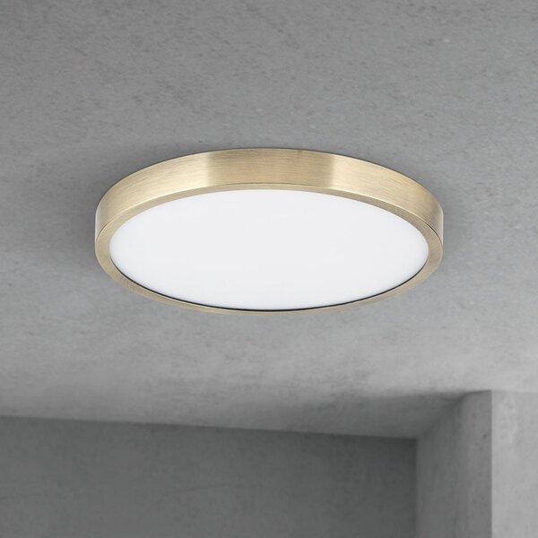 ORION LED stropna svjetiljka Disc, antikni mesingani finiš, Ø 24 cm, CCT, prigušiva, Bronca / stari mesing, Dnevni boravak/blagovaonica, Aluminij