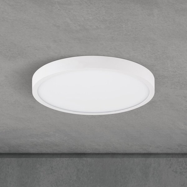 ORION LED stropna svjetiljka Disc, bijela Ø 24 cm, CCT, metal/plastika, prigušiva, Bijela, Dnevni boravak/blagovaonica, Aluminij