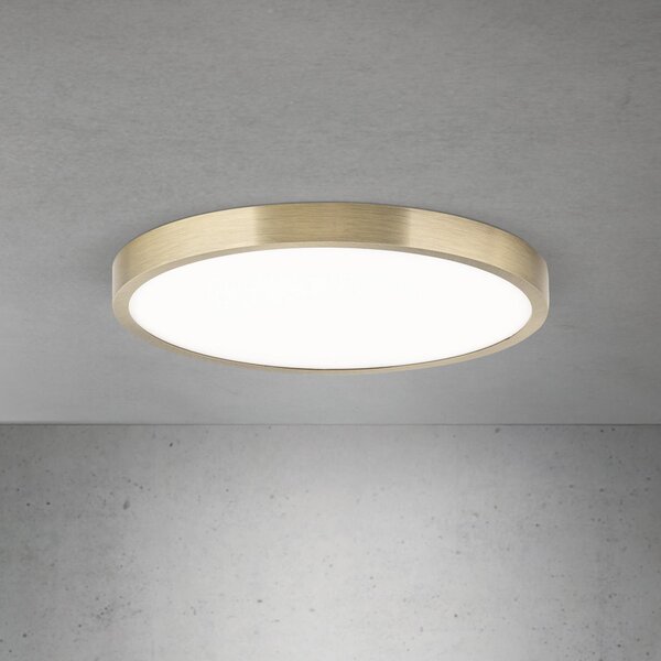 ORION LED stropna svjetiljka Disc, antikni mesingani finiš, Ø 28 cm, CCT, prigušiva, Bronca / stari mesing, Dnevni boravak/blagovaonica, Aluminij
