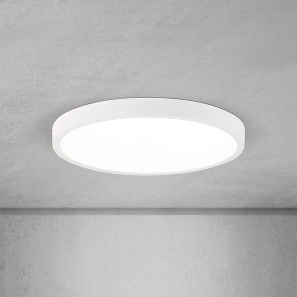 ORION LED stropna svjetiljka Disc, bijela Ø 28 cm, CCT, metal/plastika, prigušiva, Bijela, Dnevni boravak/blagovaonica, Aluminij