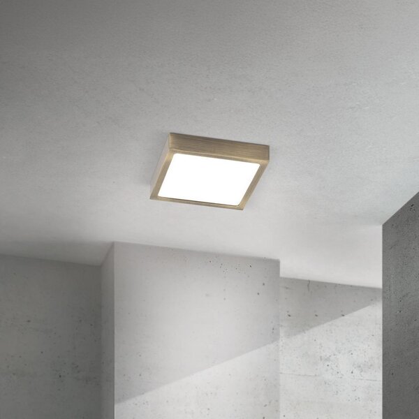ORION LED stropna svjetiljka Disc, antikni mesingani finiš, duljina 14 cm, CCT, prigušiva, Bronca / stari mesing, Dnevni boravak/blagovaonica, Aluminij