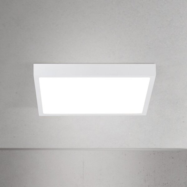 ORION LED stropna svjetiljka Disc, bijela, duljina 24 cm, CCT, metalna, prigušiva, Bijela, Dnevni boravak/blagovaonica, Aluminij