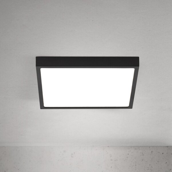 ORION LED stropna svjetiljka Disc, crna, duljina 24 cm, CCT metal, prigušiva, Crno, Dnevni boravak/blagovaonica, Aluminij