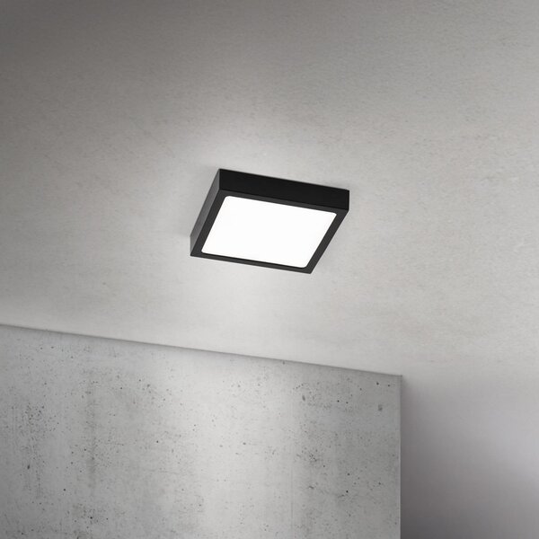 ORION LED stropna svjetiljka Disc, crna, duljina 14 cm, CCT metal, prigušiva, Crno, Dnevni boravak/blagovaonica, Aluminij