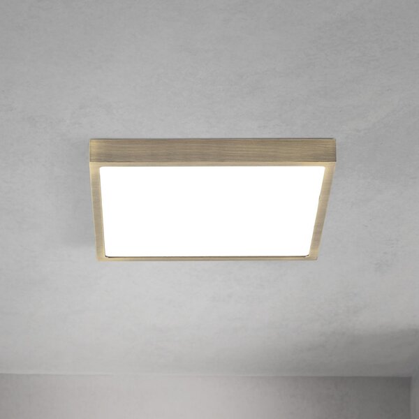 ORION LED stropna svjetiljka Disc, antikni mesingani finiš, duljina 24 cm, CCT, prigušiva, Bronca / stari mesing, Dnevni boravak/blagovaonica, Aluminij