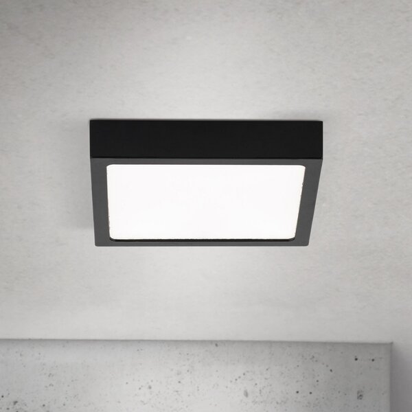 ORION LED stropna svjetiljka Disc, crna, duljina 14 cm, CCT metal, prigušiva, Crno, Dnevni boravak/blagovaonica, Aluminij