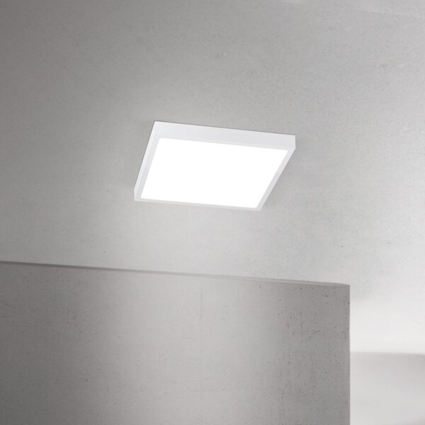 ORION LED stropna svjetiljka Disc, bijela, duljina 24 cm, CCT, metalna, prigušiva, Bijela, Dnevni boravak/blagovaonica, Aluminij