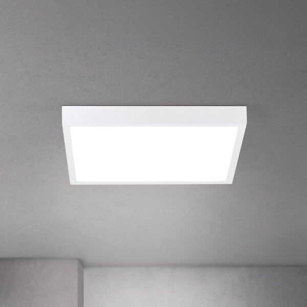 ORION LED stropna svjetiljka Disc, bijela, duljina 40 cm, CCT metal/plastika, prigušiva, Bijela, Dnevni boravak/blagovaonica, Aluminij