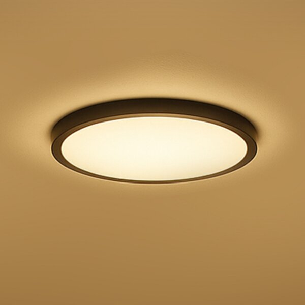 Calex Pametna LED stropna svjetiljka HALO Ø 30cm crna IP54 RGB CCT, prigušiva, Crno, Dnevni boravak/blagovaonica, Plastika