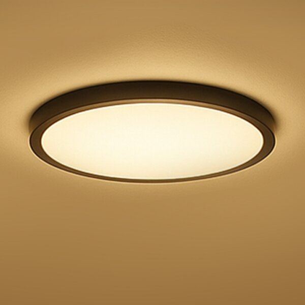 Calex Pametna LED stropna svjetiljka HALO Ø 40cm crna IP54 RGB CCT, prigušiva, Crno, Dnevni boravak/blagovaonica, Plastika