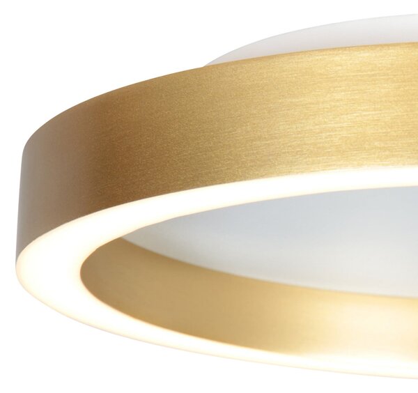 Steinhauer Ringlux LED stropna svjetiljka, zlatne boje, Ø 40 cm, metal, 2700 K, prigušiva, Zlato / mjed, Dnevni boravak/blagovaonica, Metal