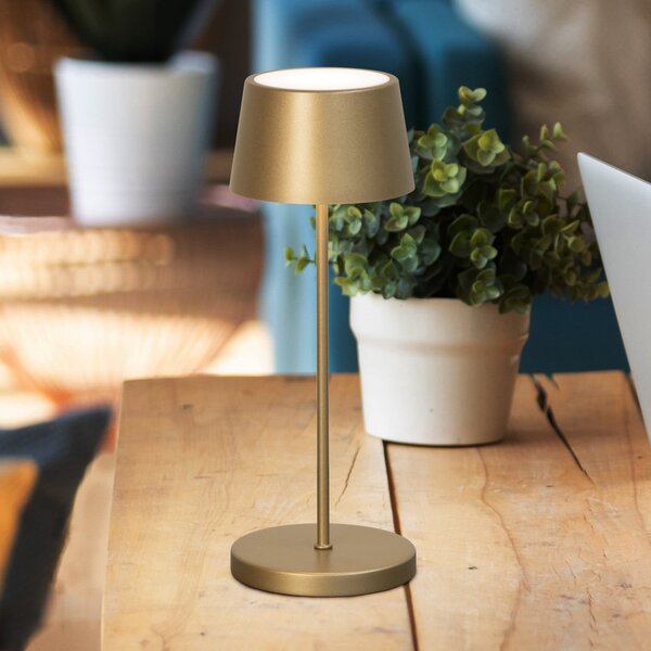FH Lighting LED punjiva stolna lampa Asena Pro brončana boja 30 cm metalna IP54, prigušiva, Bronca / stari mesing, Metal