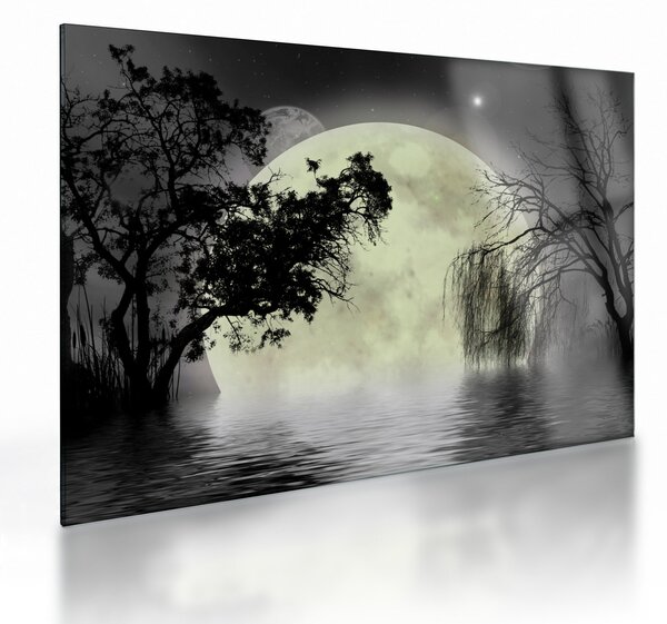Staklena slika - Polna luna nad površjem, črno-bela različica (70x50 cm)
