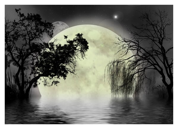 Staklena slika - Polna luna nad površjem, črno-bela različica (70x50 cm)
