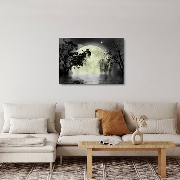 Staklena slika - Polna luna nad površjem, črno-bela različica (70x50 cm)