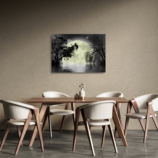 Staklena slika - Polna luna nad površjem, črno-bela različica (70x50 cm)