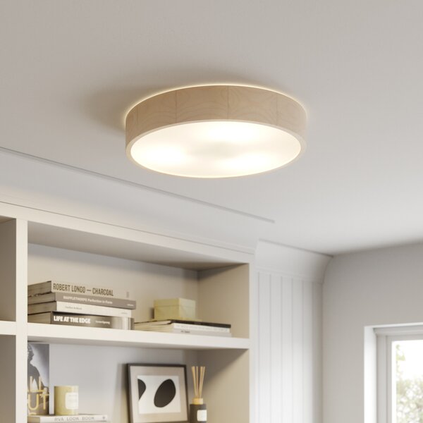 Envostar Stropna lampa Kerio, Ø 47 cm, bijela, prigušiva, Bijela, Dnevni boravak/blagovaonica, Drvo