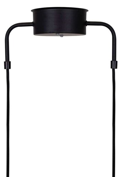 Globen Lighting viseća lampa CURVE 5, crna, 5 žarulja, 165 cm, prigušiva, Crno, Dnevni boravak/blagovaonica, Metal