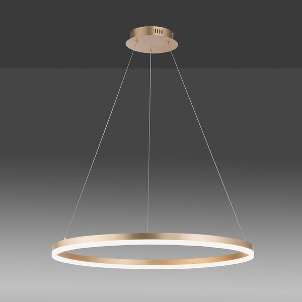 Paul Neuhaus LED viseća svjetiljka Titus, Ø 80 cm, mesing, mogućnost, prigušiva, Zlato / mjed, Dnevni boravak/blagovaonica, Metal