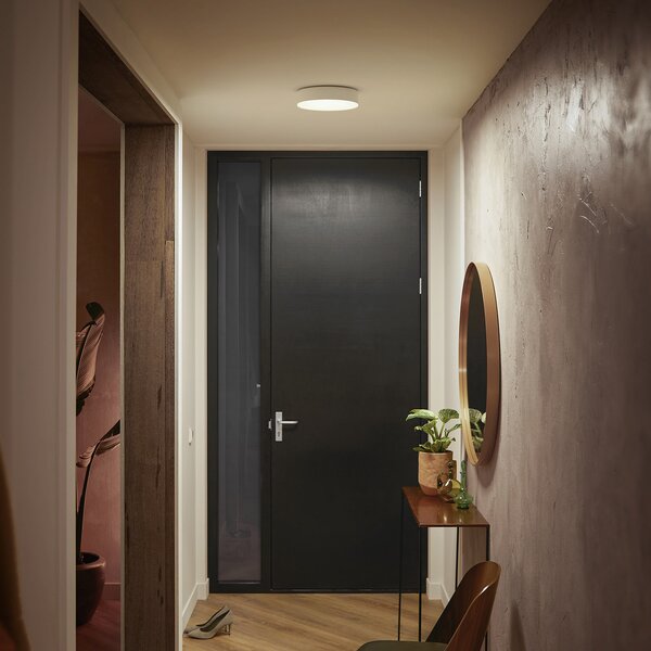 Stropne Svjetiljka Philips Hue, Philips Hue, prigušiv, Bijela, Dnevna soba, Metal, Moderan