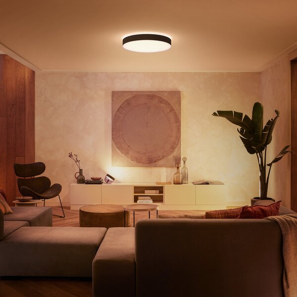 Stropne Svjetiljka Philips Hue, Philips Hue, prigušiv, Crno, Dnevna soba, Metal, Moderan