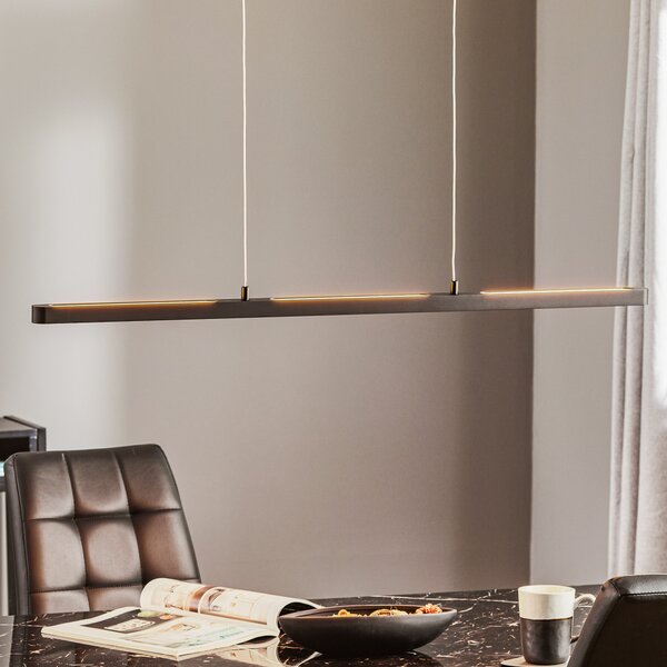 Paulmann Lento LED viseća svjetiljka, crna, 100 cm, usmjeriva svjetla, prigušiva, Crno, Dnevni boravak/blagovaonica, Metal