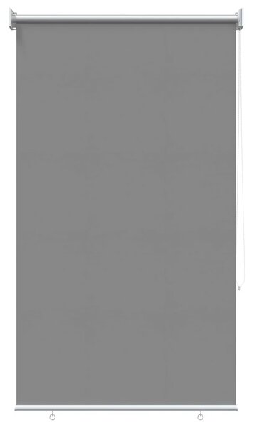 Rolo zavjesa za vanjsku uporabu s UV zaštitom Svjetlosiva - Svjetlosiva 60 x 230 cm
