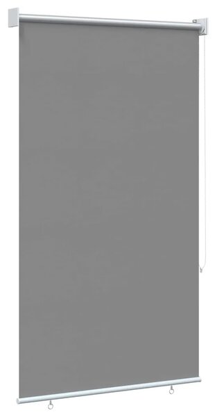 Rolo zavjesa za vanjsku uporabu s UV zaštitom Svjetlosiva - Svjetlosiva 60 x 230 cm