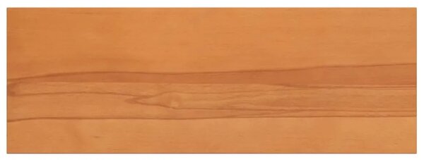 Step treads 4 kom. 70 x 25 x 2 cm Svijetlosmeđa - Svjetlosmeđa 70 x 25 x 2 cm 4