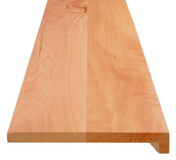 Step treads 20 kom. 110 x 30 x 2 cm Lak Čvrsto drvo bukve - Lak 110 x 30 x 2 cm 20